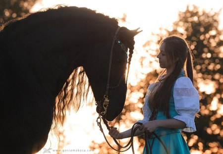 Special Bond - holland, black, horses, draft horse, dutch, friesian