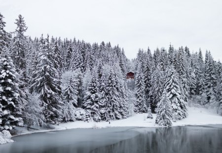 Winter on the Lake - nature, lake, trees, forest, snow, winter, house