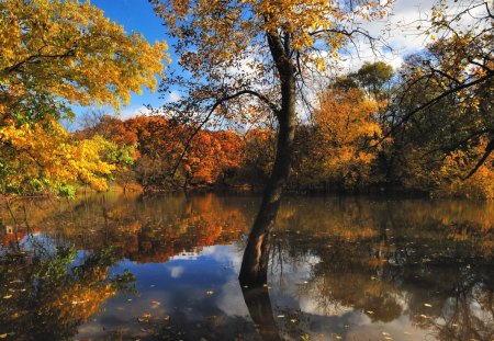 Autumn Colors - lake, lakes, trees, colors, autumn