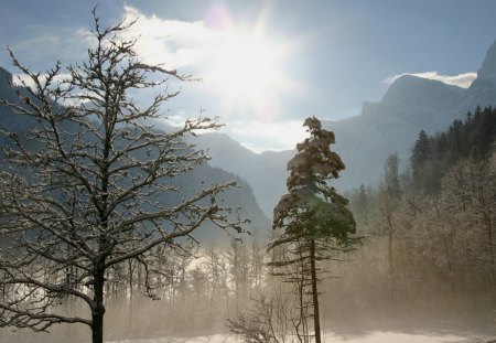 WINTER IN AUSTRIA - snow, winter, austria, mountains