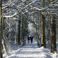 WINTER IN AUSTRIA