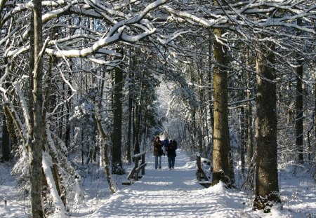 WINTER IN AUSTRIA - winter, mountains, austria, snow