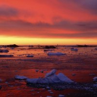 red ocean in antarctica