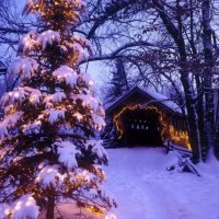 Christmas snowy landscape