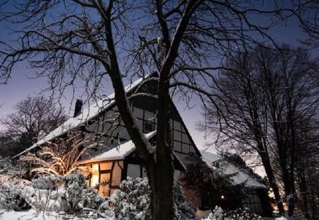 Winter - snow, winter, night, tree, house