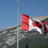 A day into the wild of Alberta 21