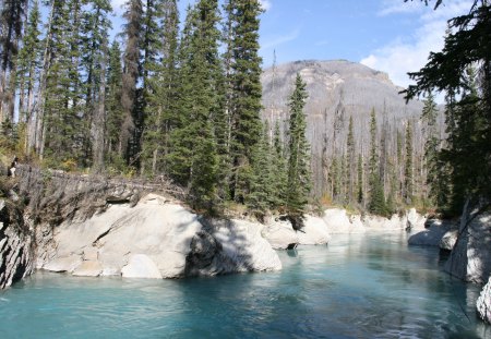 A day into the wild of Alberta 25 - forests, trees, photography, mountains, rocks, white, clouds, green, rivers