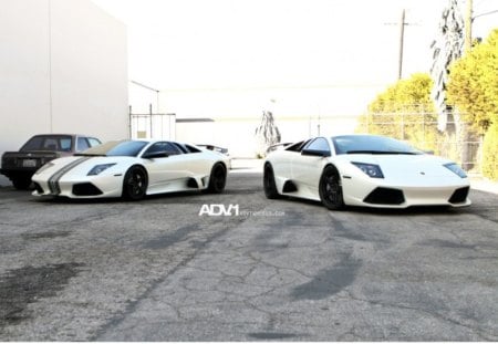 Lamborghini combo - murciliago, gallardo, lamborghini, exotic