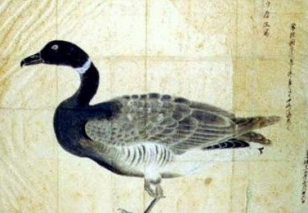 Japanese School - Duck - painting, wood, nineteenth century, japan