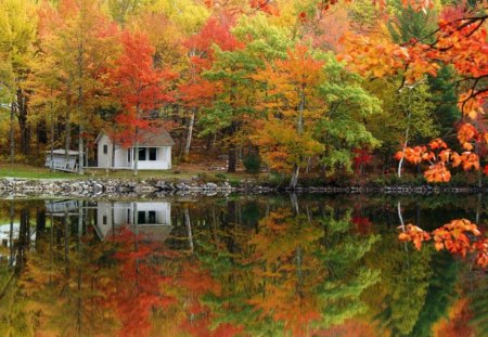 REFLECTIONS OF GOLDEN GLORY - autumn, trees, colours, homes, waterscapes, buildings