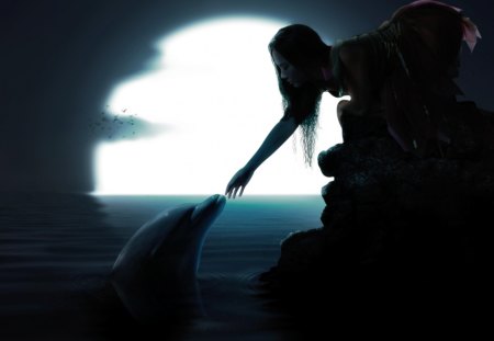 dolphin - entertainment, people, photography, beautiful, animation, fantasy, other