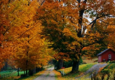 Autumn cottage - pretty, lonely, cabin, leaves, calmness, path, countryside, nice, cottage, falling, house, beautiful, road, lovely, fall, colorful, nature, autumn, foliage