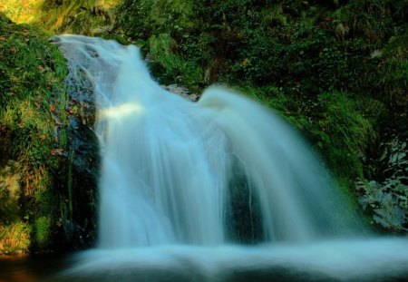 Forest Waterfalls - trees, waterfalls, water, falls, rock, grass, forest, daylight, river, white, nature, green, brush, day