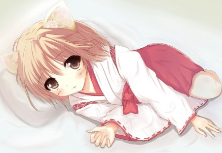 Cute Girl - bed, hot, hair, eyes, black, white, brown, dark, anime, cute, short, neko, pillow, sexy, background, cat, kitty, light, wallpaper, kitten, ears, hd, red, blush, dress, blonde