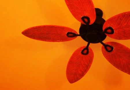 Flora - fan, flower, orange, ceiling