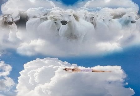 dream - horses, white, sky, clouds, dream, fluffy