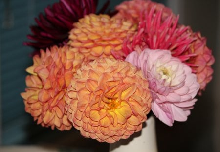 beautiful dahlias - flowers, flower arragement, orange flowers, dahlias