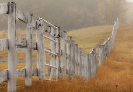 GOING UPHILL - horizons, forests, walls, golden, fences, fields, grass