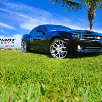 camaro