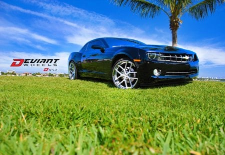 camaro - zl1, ss, camaro, chevrolet