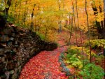 Autumn Facade