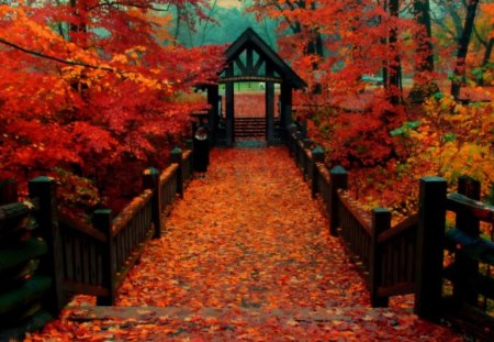 Autumn at the Bridge - nature, leaves, autumn, bridge