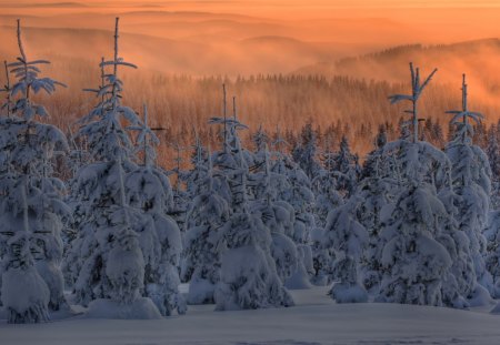 Beautiful View - trees, winter, sunset, beautiful, view, snow, mountains, sky