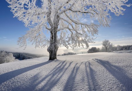 Beautiful View - nature, sky, view, snow, blue, beautiful, mountains