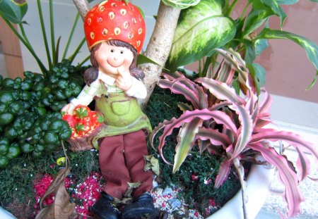 Lovely potted - lovely, doll, foliage plants, potted