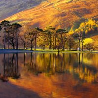 Autumn reflections