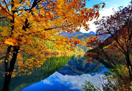 Autumn in my heart - reflections, crystal, leaves, mountain, shore, riverbank, lake, nice, falling, branches, trees, beautiful, mirrored, colors, lovely, fall, colorful, river, nature, autumn, clear, foliage