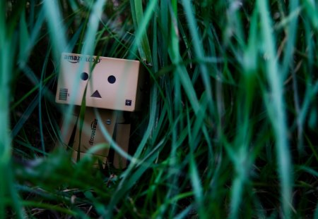 Lonely Danbo - abstract, lonely, beautiful, photography, grass, danbo, robot, nature, green, cute