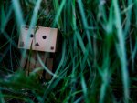 Lonely Danbo