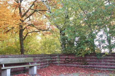 how beautiful a city can be - forest, bench, corner, beautiful, city, photography