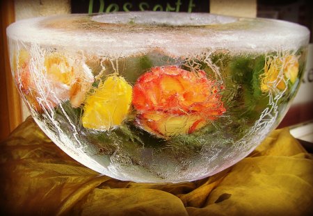 â™¥     .áƒ¦~Frozen Roses~áƒ¦.     â™¥ - roses, winter, nature, cold, frost, snow, flowers, decoration, outdoor