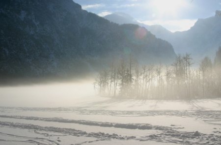 WINTER IN AUSTRIA - winter, fog, austria, snow