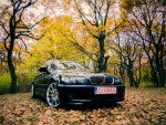 BMW 320 E46 2