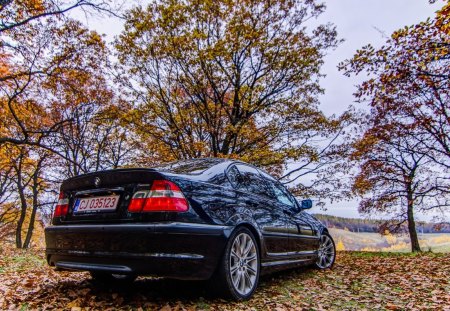 BMW 320 E46 MPack3 - bmw, mpack, e46, 320