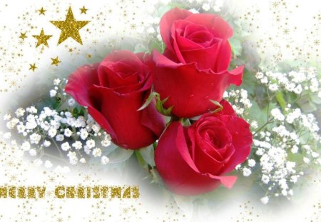 Christmas Bouquet - flowers, stars, roses, christmas