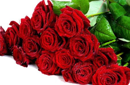 nice bouquet of red flowers - flowers, nice, bouquet, red