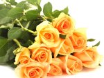 Bouquet of orange roses