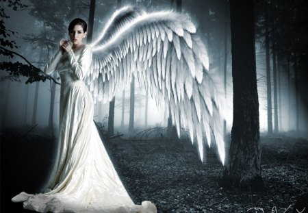 Angel - white, lady, fantasy, angel