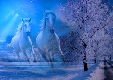 Winter Beauty - horses, winter, nature, fantasy