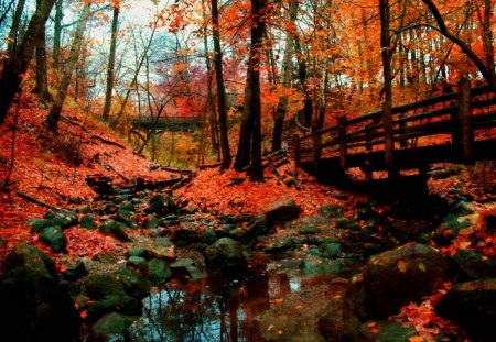 Seven Bridges - nature, autumn, forest, bridges