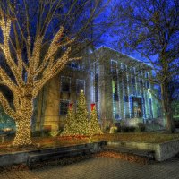 New Year in the City of Trees