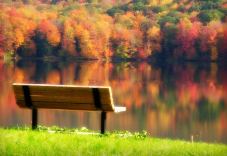 áƒ¦.Tender Autumn Glow.áƒ¦ - autumn, trees, bench, creative pre-made, lakes, reflections, yellow, orange, green, rivers, waterscapes, attractions in dreams, forests, gold, love four seasons, most downloaded, beautiful, panoramic view, leaves, seasons, scenery