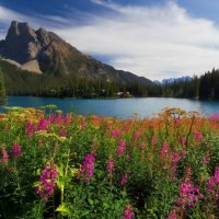 Emerald lake