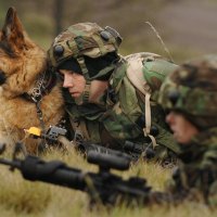 Military shepherd