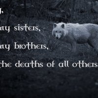 wolf wisdom