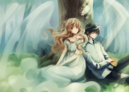 anime couple - wood, girl, boy, anime, shirou kamui, wings, monou kotori, manga